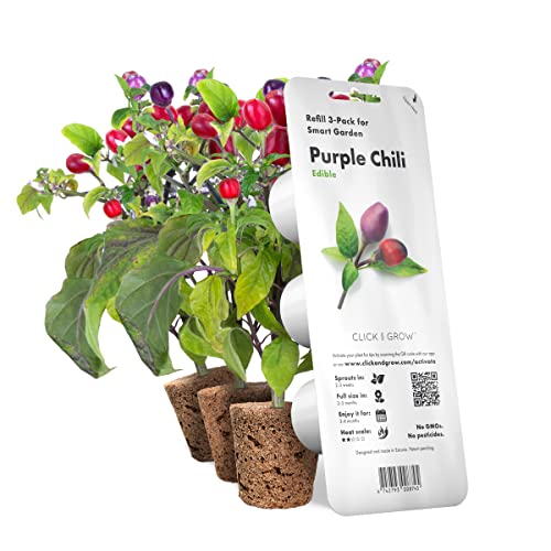 Refill 3er Pack für Click & Grow Smart Herb Garden Purple Chili