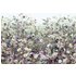 Komar Vlies Fototapete Botanica 368 x 248 cm