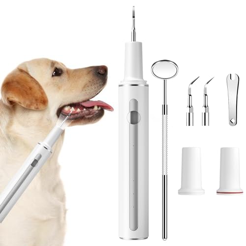 Hunde Zahnreinigungsset, Ultraschall Zahnbürstenreiniger für Haustiere, Zahnbürste mit 3 Modi und Lichtern, geeignet für Hunde und Katzen