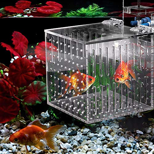 Haokaini Aquarium Zucht Isolation Box Acryl Aquarium Brüterei Inkubator mit Saugnäpfen Braten Brut Box für Baby Fische Garnelen Guppy Clownfisch Aggressiv