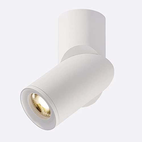 Budbuddy 12W LED Deckenleuchte Strahler Deckenspots Weiß Deckenstrahler Aufbaustrahler Aufbauleuchte Aluminium(Natürliches Weiß)