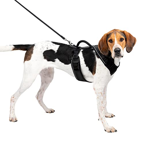 PetSafe Easy Sport Hundegeschirr L schwarz, extra, Reflektoren, Geschirrgriff, für große Hunde