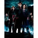 Harry Potter - Impression en Verre - Group HP4-30X40 cm