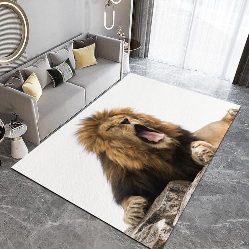 HUANYIN Wohnzimmer-Badezimmermatte mit Tiermotiv, Löwe, Heimdekoration, Teppich, Schlafzimmer-Fußmatte, geeignet als Stuhlmatte