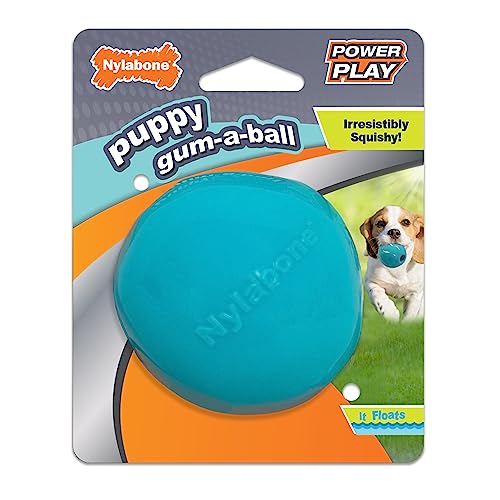 Nylabone Puppy Power Play Gum-a-Ball, klein/normal, 1 Stück