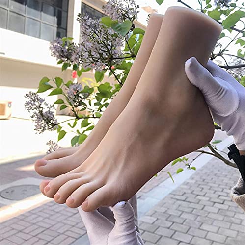 AFYH Silikon Füße Modell, Real Shot Platin TPE 36# Weiblicher Fuß 22 cm Verwendet, Um Schuhe Und Socken Zu Zeigen Und Massageunterricht (1 Paar Füße)