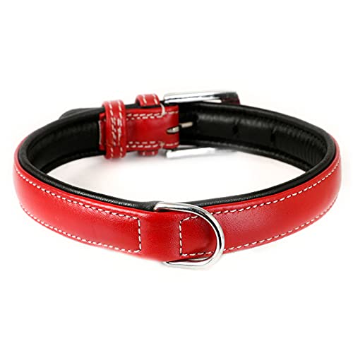 Monkimau Hundehalsband aus Leder Halsband für Hunde Lederhalsband weich gepolstert (M, rot)