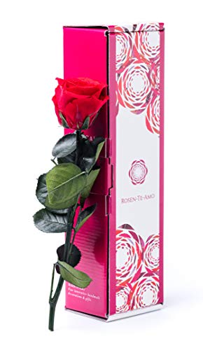 Rosen-Te-Amo | rote konservierte ewige Rose (27 cm) | Grußkarte zum Herunterladen | Geschenk-Box | feines Design || Muttertag Infinity Rosen | Geburtstagsgeschenk für Frauen Mama Freundin Oma