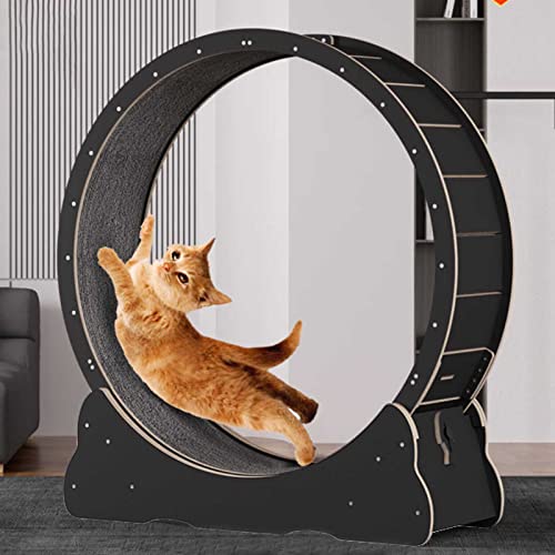 Katzenlaufrad für Katzen Katzen Laufband Natürliches Massivholz-Katzenlaufrad mit Schlössern & Abnehmbare Teppich-Laufbahn & Winziger Spalt