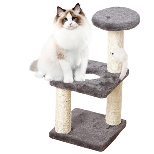 Kratzbaum für Indoor-Katzen – Katzenkratzbaum, mehrlagiges Design, Katze liegend und ruhend, keine Krümel, für Kätzchen und kleine Katzen Pfrank
