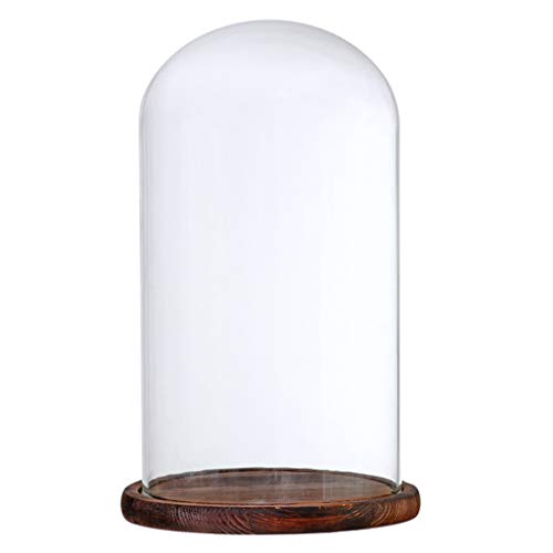 HomeDecTime Blumentopf aus Glas, transparent, glockenförmig, braun F