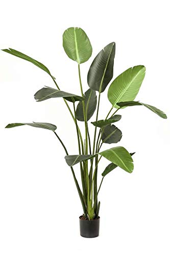 artplants.de Deko Pflanze Strelitzie Pavlova, grün, 190cm - Kunst Paradiesvogelblume