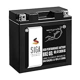 SIGA Gel Motorradbatterie 20Ah 12V 320A/EN Batterie YTX20CH-BS YTX20A-BS GEL12-20CH-BS GTXCH20-BS JMTX20A-BS 82002