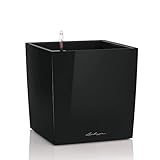 Lechuza- Cube Premium 30 zwart hoogglans All-IN-ONE