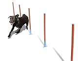 Rosewood 02490 Agility-Slalomstangen für Hunde