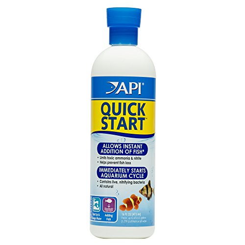 API Quick Start Süß- und Salzwasser Aquarium Nitrifizierende Bakterien 473 ml Flasche
