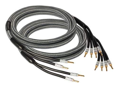 Goldkabel CHORUS Bi-Wire 3 Meter