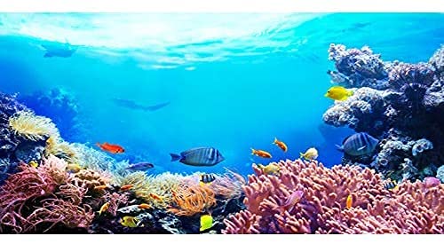 AWERT Unterwasser-Aquarium-Hintergrund, 182,9 x 45,7 cm, bunt, Koralle, tropische Fische, Unterwasserwelt, Vinyl