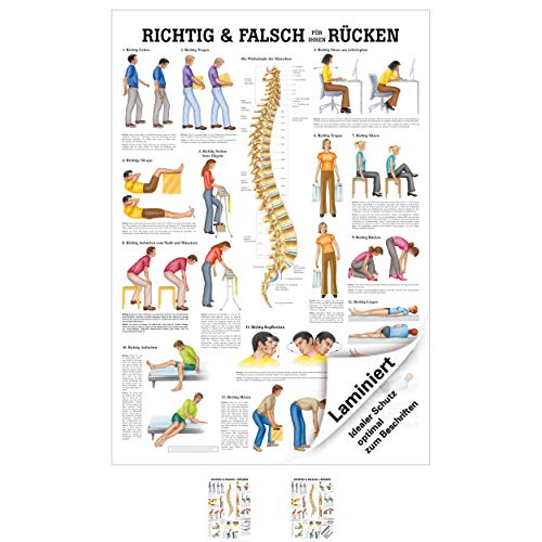 Richtig u. falsch für Ihren Rücken Lehrtafel Anatomie 100x70 cm med. Lehrmittel