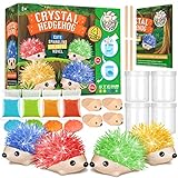 Dr. Daz Hedgehog Crystal Growing Igel Kristall Züchten Igel Spielzeug Züchten Experimentieren Wissenschaftler Geschenk Kinder Experimentierkasten Experimente Kristalle Züchten Ab 8 9 10 Jahre