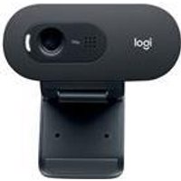 Logitech C505 - Web-Kamera - Farbe - 720p - feste Brennweite - Audio - USB