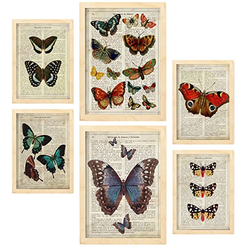 Nacnic Schmetterlinge Postern. Vintage Papier Stil Plakate mit Enzyklopädie Hintergründen. Bunte Schmetterlinge. Innenarchitektur und Dekoration. A4 & A3 Holzrahmen.