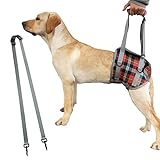 SaiDeng Haustier-Hunde-Bein-Stützschlinge, verstellbar, einziehbar, atmungsaktiv, für ältere Hunde, verletzte Hunde, Verletzungen am hinteren Bein, Arthritis und Behinderungen, Orange Plaid XL