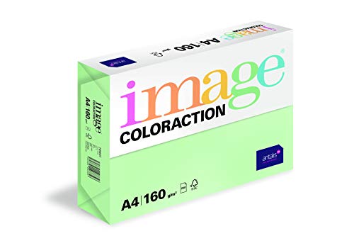 Image Coloraction - farbiges Kopierpapier Forest/grün 160g/m² A4 - Paket zu 250 Blatt