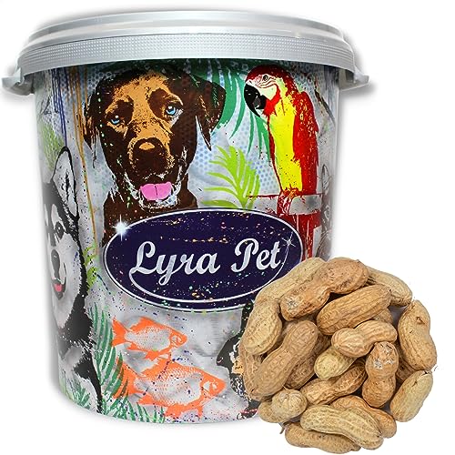 Lyra Pet® 10 kg Erdnusskerne in Schale HK Afrika Schoten Ganzjahresfutter Eichhörnchen Erdnüsse Vogelfutter Wildvögel in 30 L Tonne