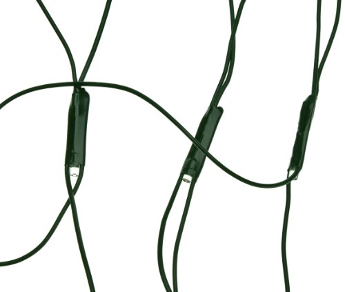 Kaemingk LED Buxbaumnetz o 80 cm, aussen, Aussentrafo, 120 warmweiße LED, grünes Kabel 494898