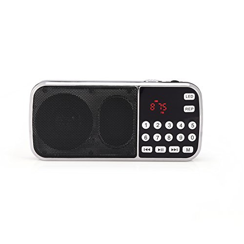 Diyeeni Y-501 Portables FM Radio 12H Laufzeit, Multifunktion Lautsprecher mit Großtasten, LCD Anzeige, USB/TF/FM/AUX Musik Player