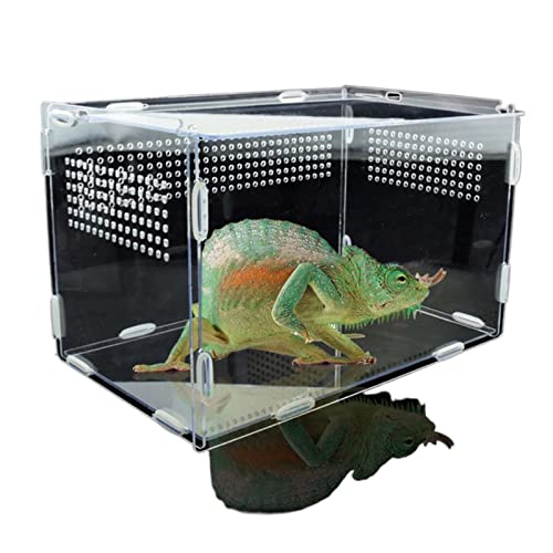 Aquarium Schildkröten/Aquarien Brutbox transparent Reptilienzuchtbox Insekten Beobachtungsbox Spinne Eidechse Igel Zuchtinkubator Terrarium Schildkröte (Color : 20X15X15cm)