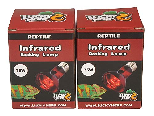 Lucky Herp Repti-Infrarot-Wärmelampe, 2er-Pack, E27, Schraubgewinde (75 W)