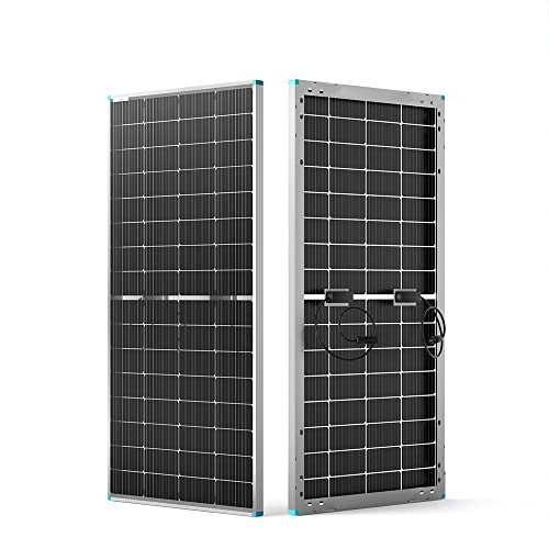 Renogy 220W Doppelseitiges Solarpanel Monokristallin, Hochleistungs-PV-Modul, 12V Solarmodul für Wohnmobile, Haus, Balkon, Boote, landwirtschaftliche Dächer, Batterien und netzunabhängige Anwendungen