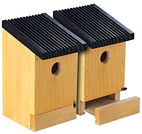 Royal Gardineer Vogelhaus als Nistkasten: 2er-Set Tannenholz-Nistkästen für Wildvögel, 22x14x12 cm, vormontiert (Vogelhaus Holz)