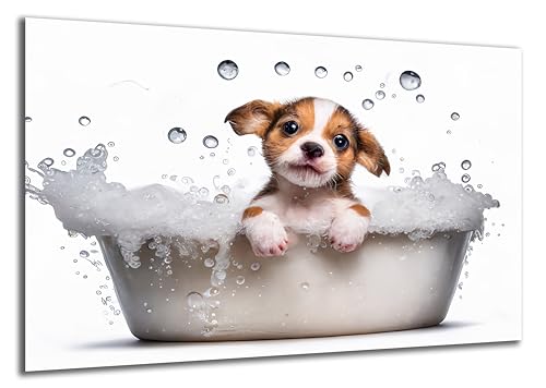 DARO Design - Toiletten-Bild auf 6mm HDF 70x50 cm Baby Hunde-Welpe in der Badewanne - Wand-Deko Bilder Lustiges Geschenk
