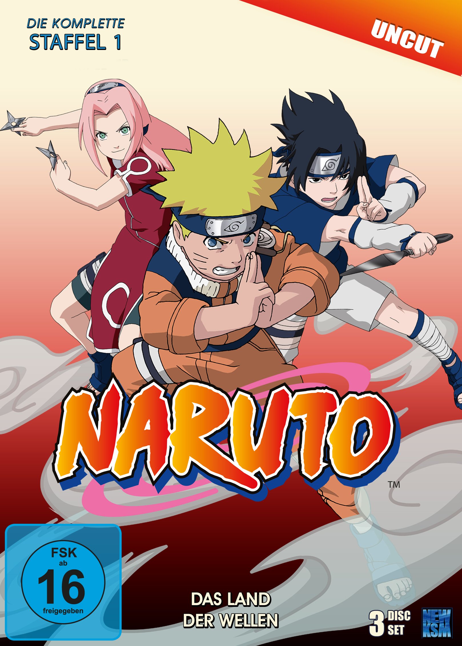 Naruto - Staffel 1: Das Land der Wellen (Episoden 1-19, uncut) [3 DVDs]