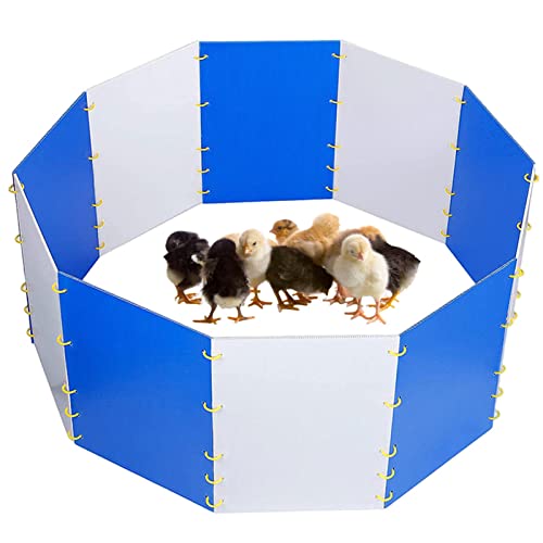 Lynsay Hühner-Brutkasten, tragbares DIY-Küken-Set, Bündel von Zuhause, unverzichtbar für Baby-Küken, Ente, Kaninchen, Hamster und Igel