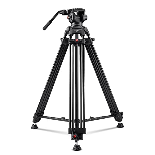 【Neigungsspannung-Design】 RAUBAY 179,8 cm Professionelle robuste Videokamera-Stativ mit Flüssigkeitskopf und QR-Platte, maximale Belastung 8 kg, Aluminium-Doppelrohr-Bein mit mittlerem Spreader DV-1