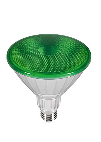 SEGULA LED Reflektor - PAR38 - IP65 - grün - dimmbar - LED Außenbeleuchtung, 50763