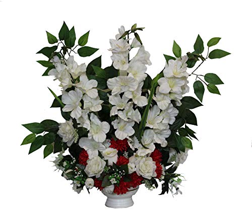 DRW Zentrum Blumenzwerg Heilige Heilige Hohe Cup-Töne 65 x 45 cm, Weiß und Rot