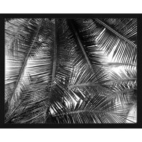 Digitaldruck »Palmblätter«, Rahmen: Buchenholz, Schwarz