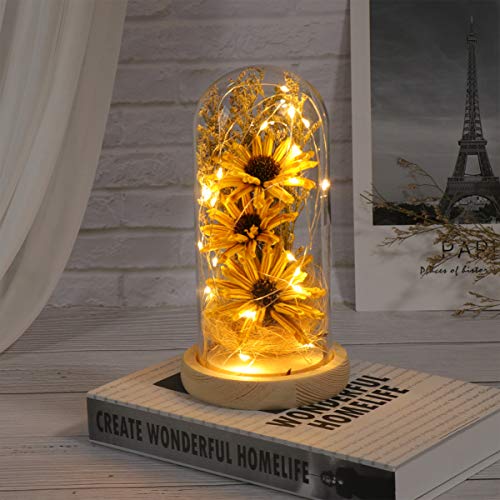 Mobestech Sonnenblume in einer Glaskuppel mit LED-Leuchten Tischlampe Deko Blumen Konserviert Geschenke zum Muttertag Geburtstag Valentinstag Talla 5 gelb