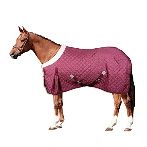 Horses, Boxdecke Quazar Move 160 gr, Hervorragend Verarbeitete Decke, Nützlich zum Schutz des Pferdes vor Temperaturschwankungen, Regen und Insekten (155 cm)