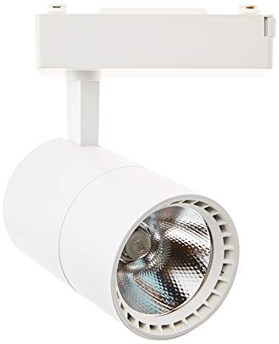 Jandei - Strahler und Spots LED/Deckenstrahler für den Innenbereich, Rund 40W 6000K **220V 50-60Hz Einphasig - KALTES WEISS
