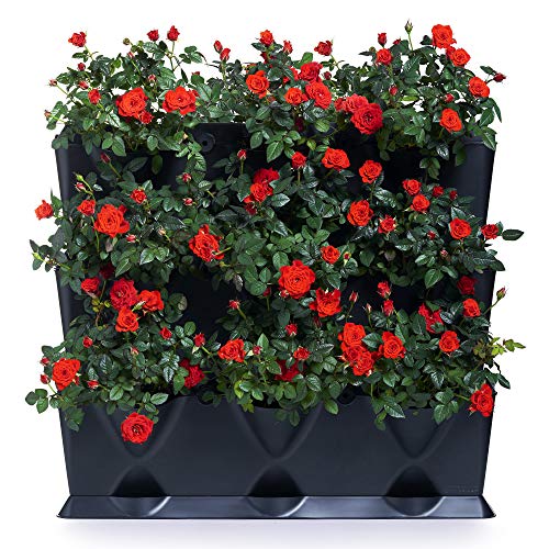 Minigarden Vertical 1 Set für 9 Pflanzen, Neue Black ECO-Version, 100% aus recycelten Materialien hergestellt, erweiterbarer vertikaler Garten im Baukastensystem (Schwarz)