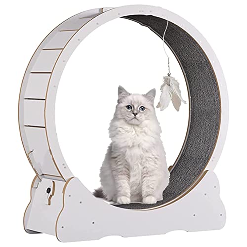 Großes Katzenübungsrad mit No-Gap-Design, Katzen-Laufband-Katzen-Katze Laufen Stille Bewegung, Katzen Gewicht verlieren Geräte Aktivität Spielzeug Interaktive Gewichtskontrolle,White-M
