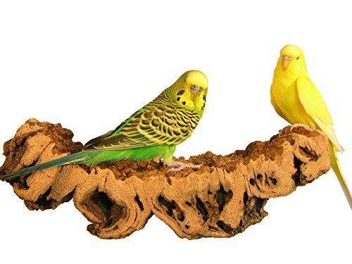 Wellensittich Spielzeug Korksitzbrett "Sehr Groß" für Vögel + Premium Sitzbrett aus Kork für Wellensittiche, Nymphensittiche, Papageien und Co. | 100% BIO und gesundes Knabber-Spielzeug