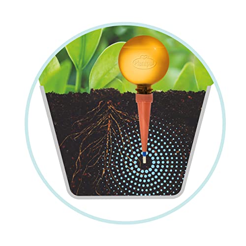 Plantpal 2 große Bewässerungskugeln Intelligentes System ermöglicht es Ihrer Pflanze, sich selbst zu gießen, wenn Sie im Urlaub unterwegs sind.