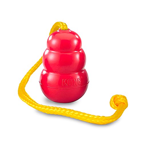 KONG Classic with Rope - X-Large